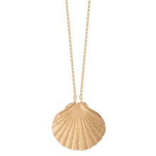 Long necklace with a shell from the Maris collection