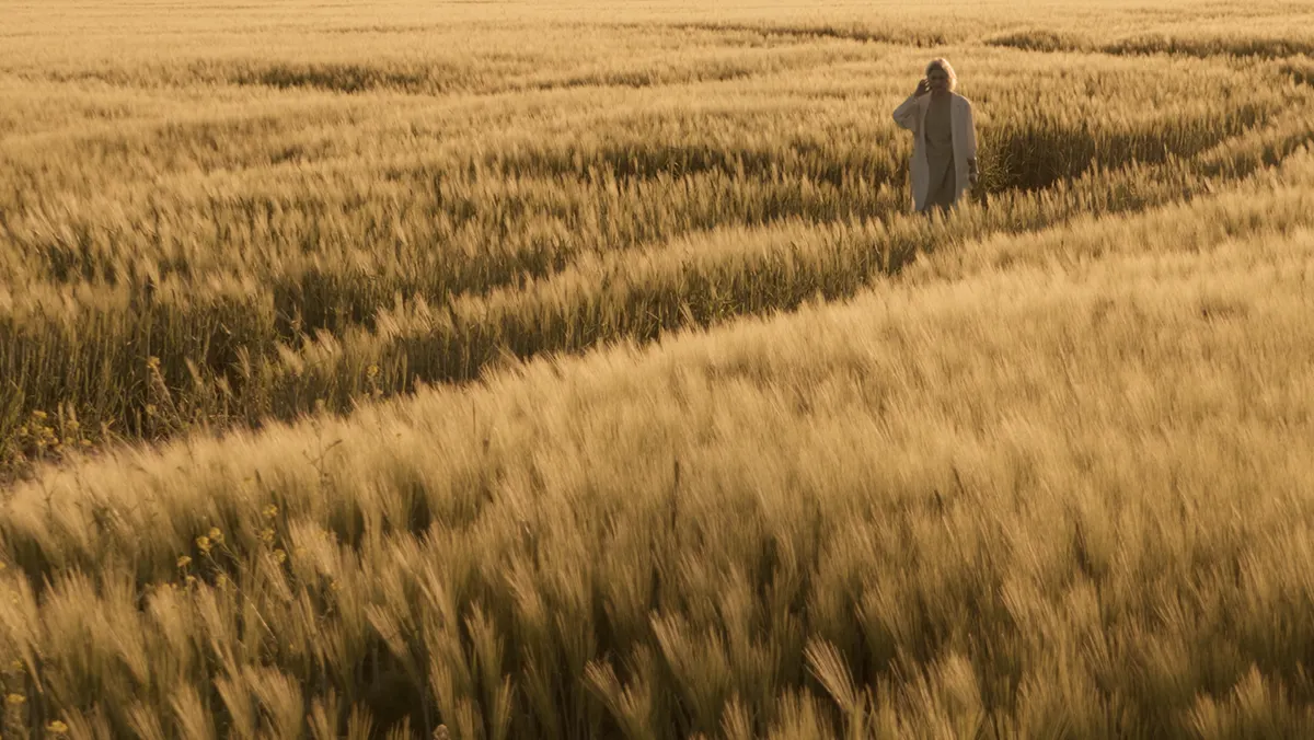 A field of grain