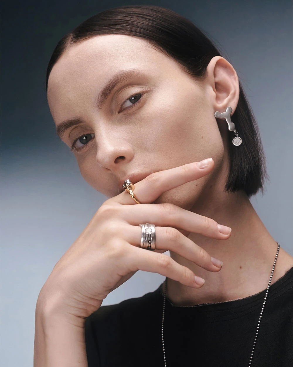 Rings with meteorites
