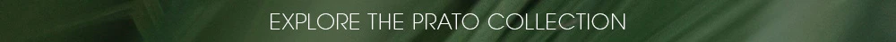 Explore the jewelry from the Prato collection