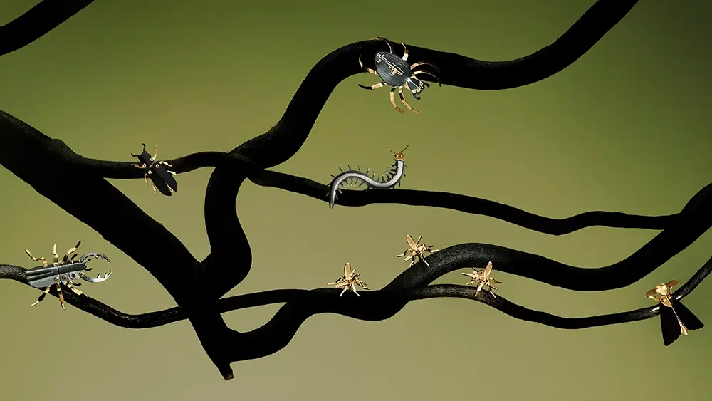Jewelry with Insects from the Plantis collection
