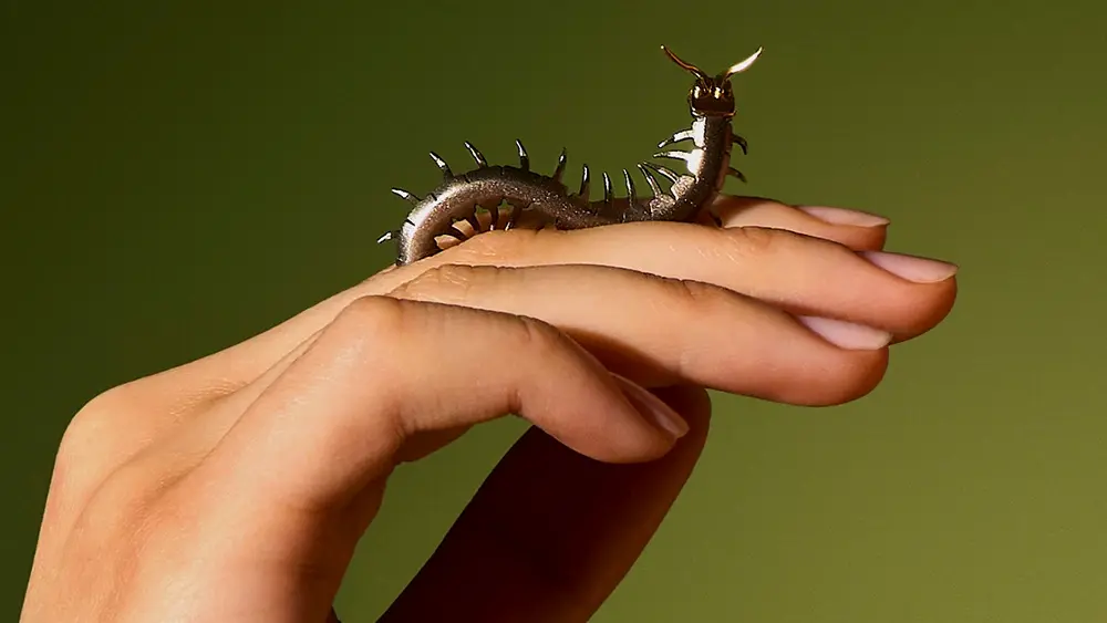 Caterpilar brooch